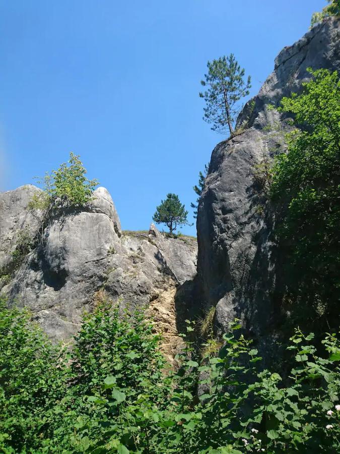 Patchou'S Cabane Couvin Exterior photo